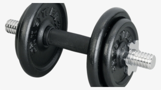 Dumbbells Clipart Bench Press Bar