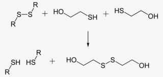 Disulfide Bond Cleavage By 2 Mercaptoethanol 2d