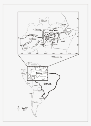 Location Map Of The Amazonas Basin, Northern Region