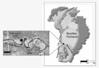 Location Of The Study Plots Within The Brazilian Pantanal