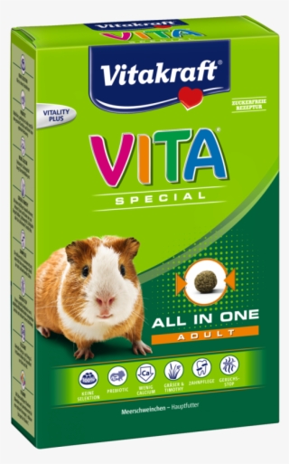 Vita Special Adult Guinea Pig By Vitakraft 600 G Buy