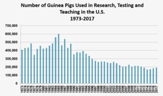 Many Different Strains Of Guinea Pigs Have Been Described,