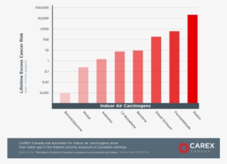 Cela Participated In An E-risk Testing Exercise To