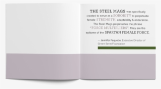 Steel Mags 1-2