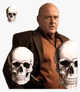 Hank Mr Skeltal
