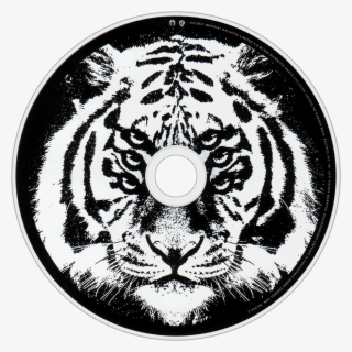 Royal Blood How Did We Get So Dark Cd Disc Image