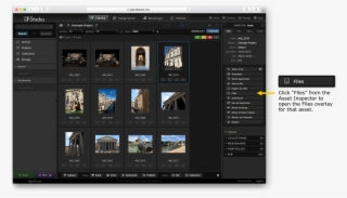 46 Inspector Files Ps