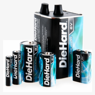 Discover What Product You Need