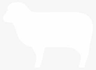 Aprendizaje De Ecografia Equina