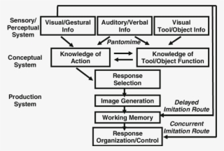 The Conceptual-production Model Of Limb Apraxia