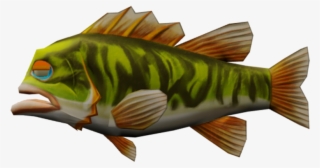 Largemouth Bass Png