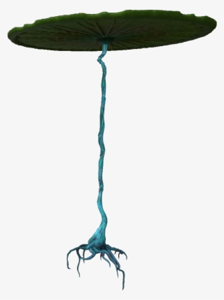 Lilypad Flora