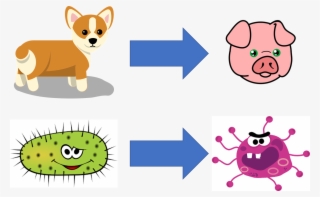 Imagine Your Computer Learning Much More Efficiently