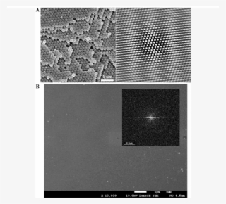The Position Of The Spheres And The Orientation Of