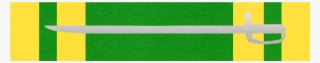 Air Force Hawk Medal, 2nd Class Sa