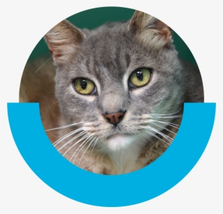 Creaturefeature-caesar