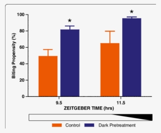 Mosquitoes Exposed To Darkness During The Late Daytime