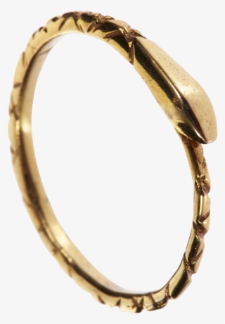 The Ouroboros Eternity Snake 'with A Tail In It's Mouth'