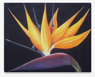 Birds Of Paradise Flower-acrylic On Canvas Painting