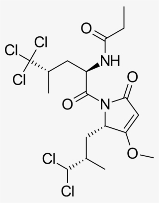 File - Sintokamide A - Svg