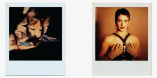 Octavia Blake Png