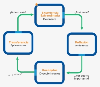Modelo De Educación Experiencial