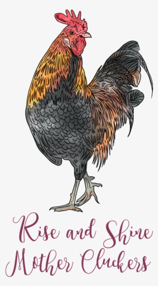 Rise And Shine Mother Cluckers Linen Egg Collecting