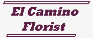 Teleflora's Turn Up The Pink Bouquet In South San Francisco