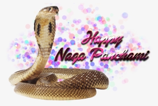 Naga Panchami Transparent Free Png