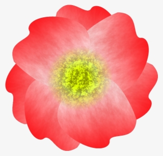 1 Fleur Stylisée