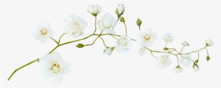 Guirlande Fleur Png