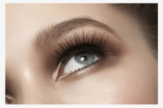 Cejas