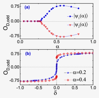 Odd Dimer Order O D,odd For The Spin 1/2 Dimerized