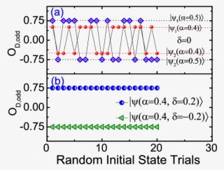 Odd Dimer Order O D,odd For The Spin 1/2 Dimerized
