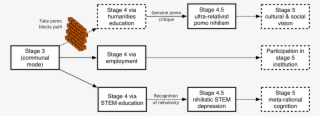 Diagram Of Adult Developmental Stage Transitions