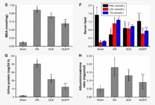 The Activity Of Sod And The Levels Of Blood Glucose,