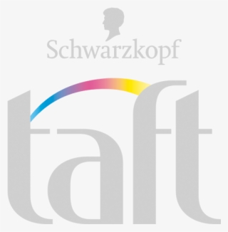 Taft Com Logo Silver