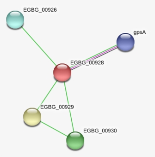 Egbg 00928 Protein