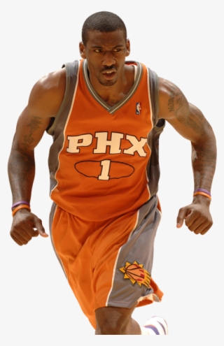 Amare Stoudemire2