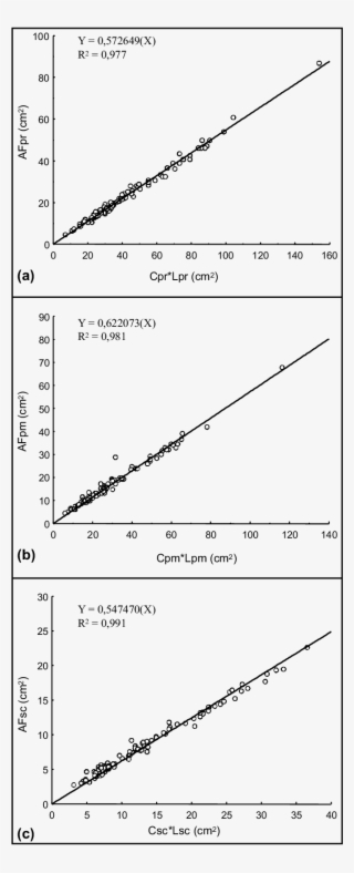 -relação Entre A Área Do Limbo Foliar Dos Folíolos