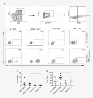 Cd4 Cd45ra Cd45ro À Cd95 À Cd122 Cd127 T Cell Population