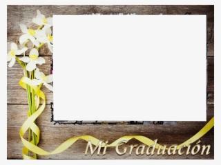 Publicado Por Liliana En