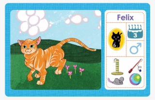 An Example Of The Cat Cards, With Multiple Pieces Of