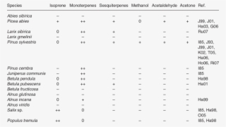 Common Tree Species In Eurasian Boreal Zone, Taiga,