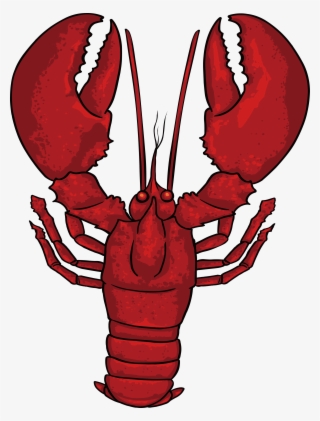 Crabs Clipart Lobster