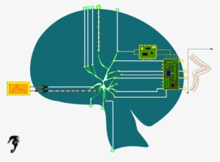 Todo Agente , Aprende Si, Como Resultado De Una Modificación