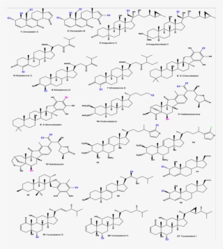 Halogenated Marine Steroids