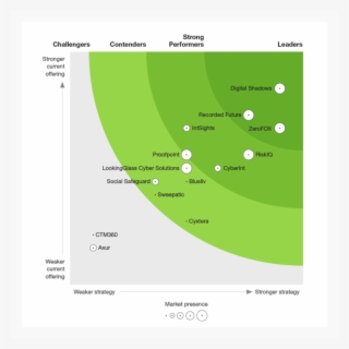 Forest With Mountains Behind