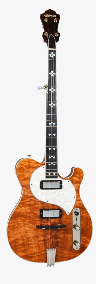 Electric Banjo