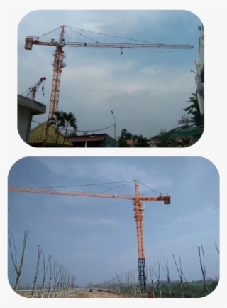 Crane